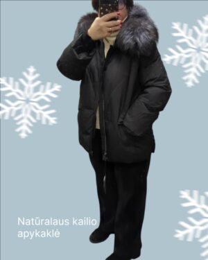 bccbfb20-8835-41f8-98a6-98445b10d669