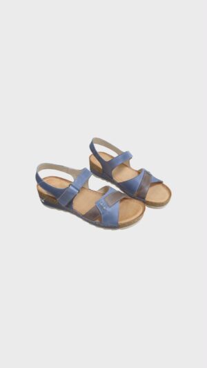 2423e97b-992b-436d-810f-f11f0c92b65e